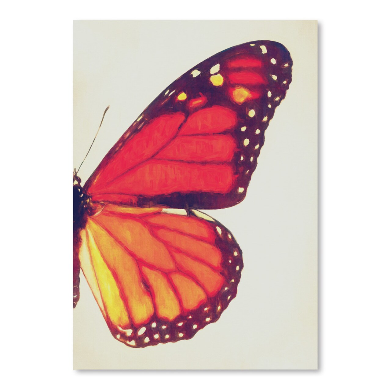 Monarch Butterfly Ii by Chaos &#x26; Wonder Design  Poster Art Print - Americanflat